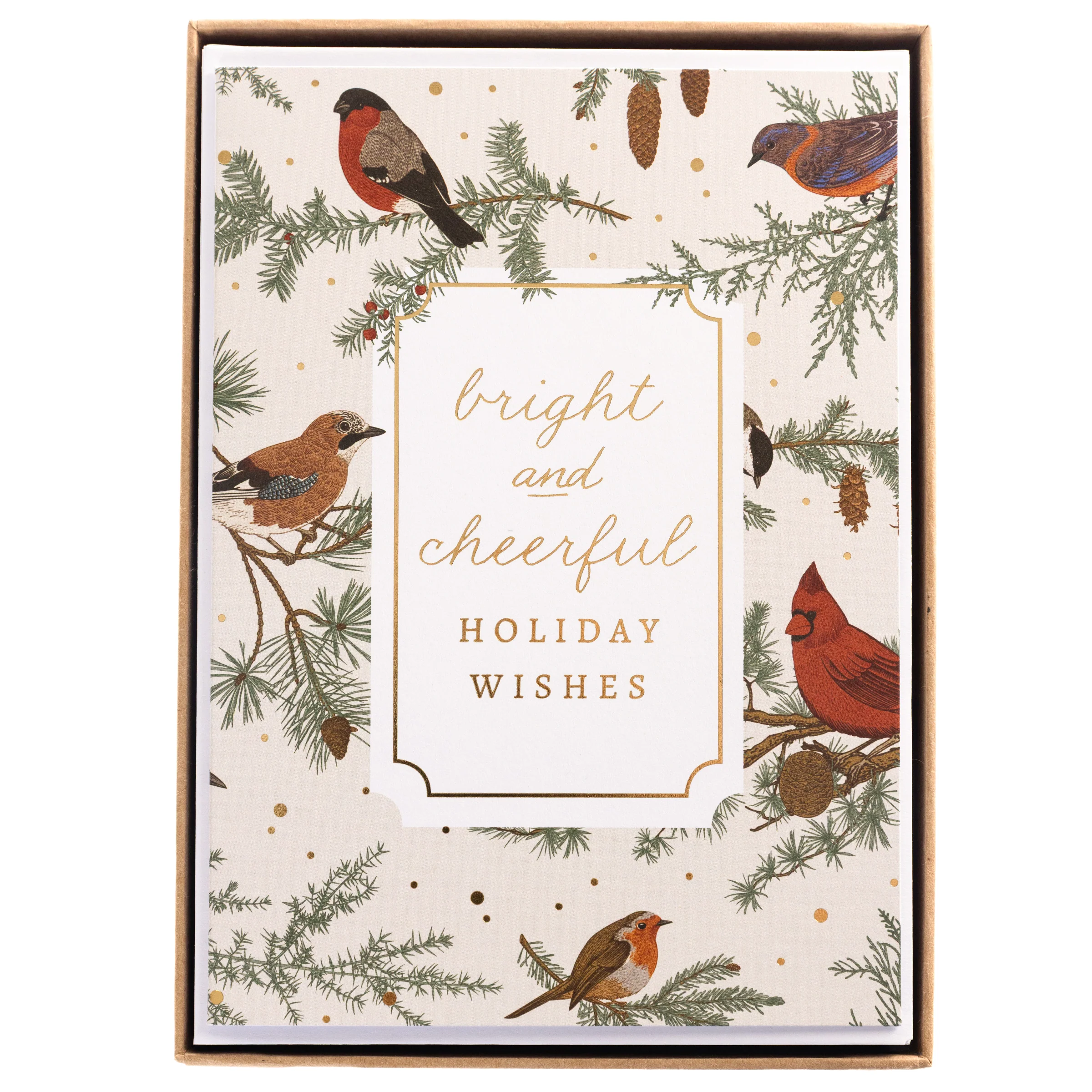 Birds Holiday Boxed Cards