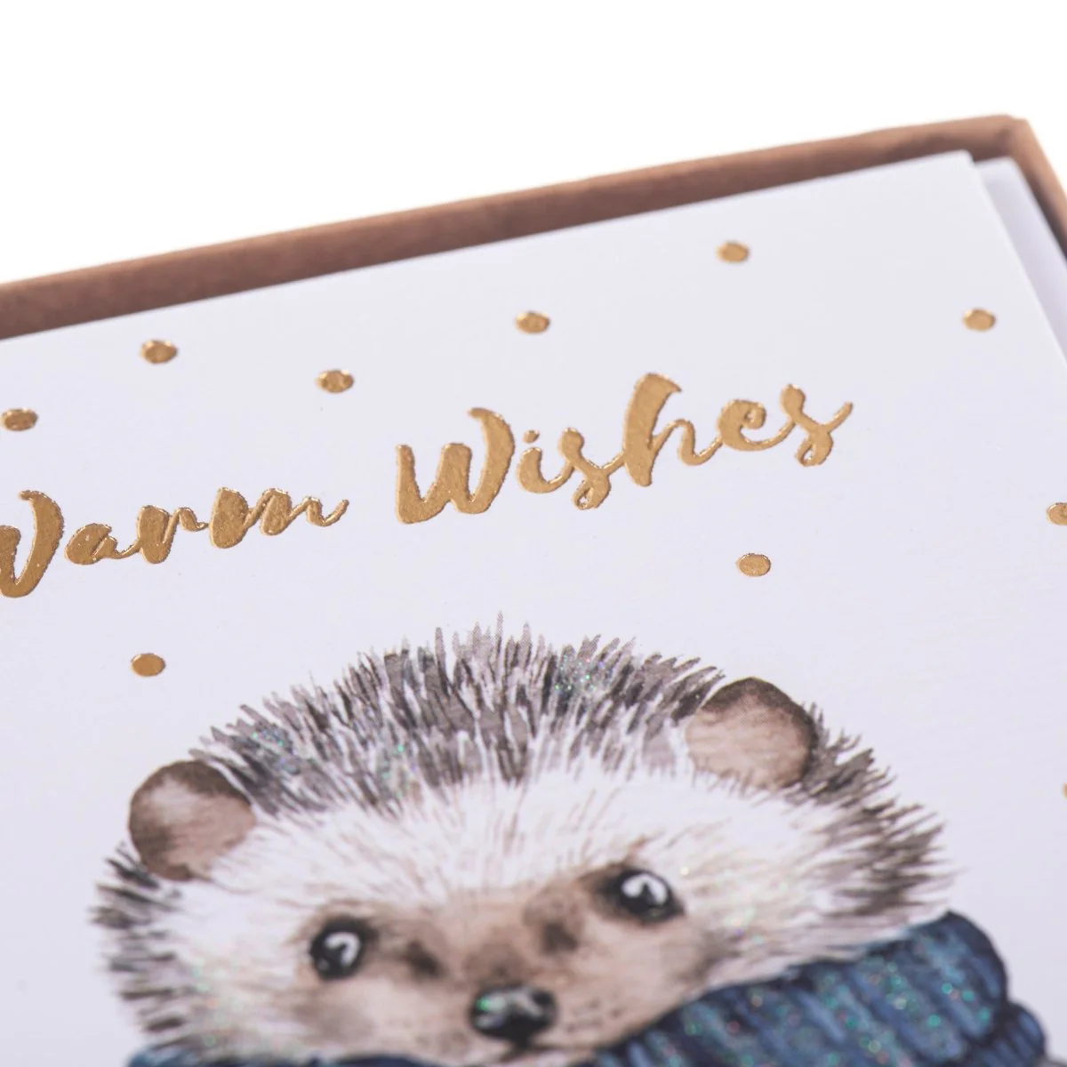 Cozy Hedgehog Holiday Boxed Cards - Image 4