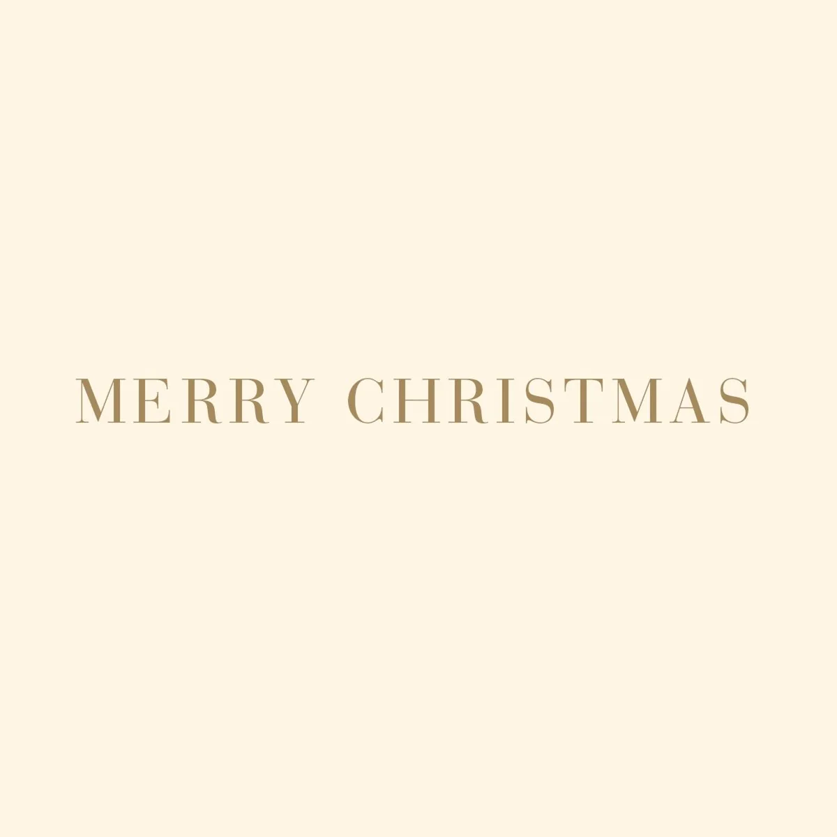 La Petite Noel Tree Holiday Boxed Cards - Image 2