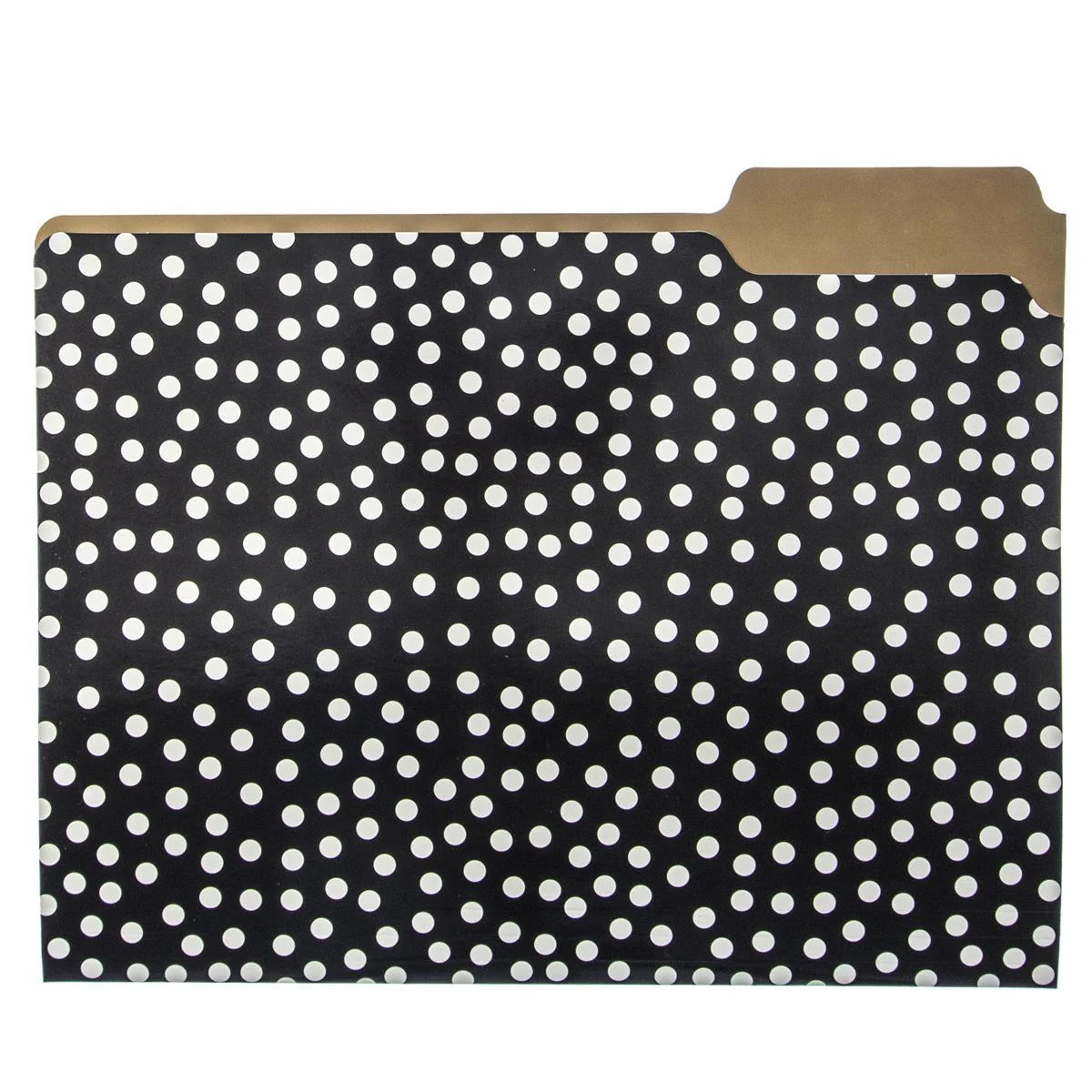 Gold Dots File Folder Set - Image 4