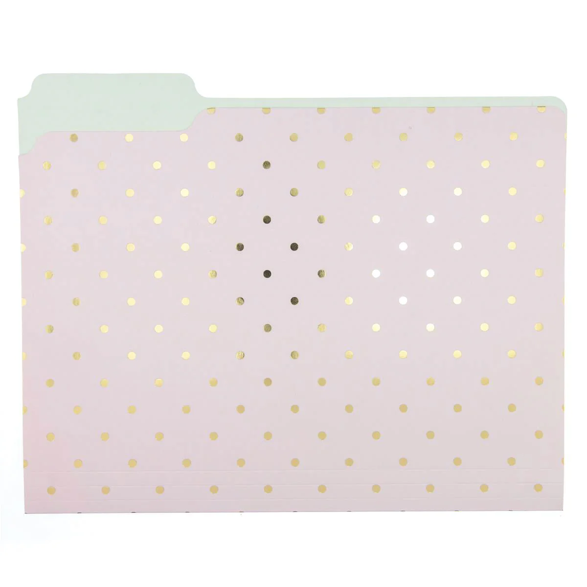 Flamingo Pink File Folder Set - Image 2