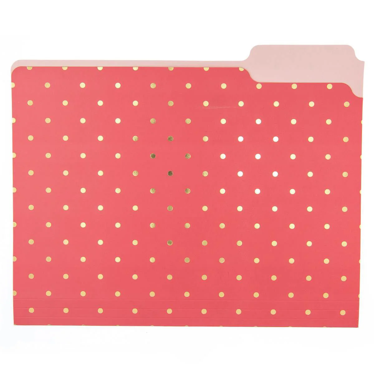 Flamingo Pink File Folder Set - Image 4