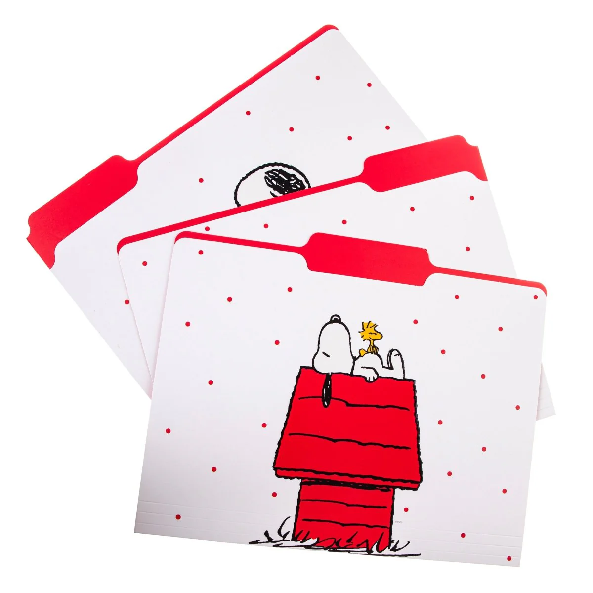 Peanuts® File Folder Set