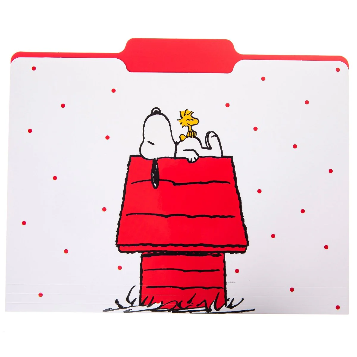 Peanuts® File Folder Set - Image 3