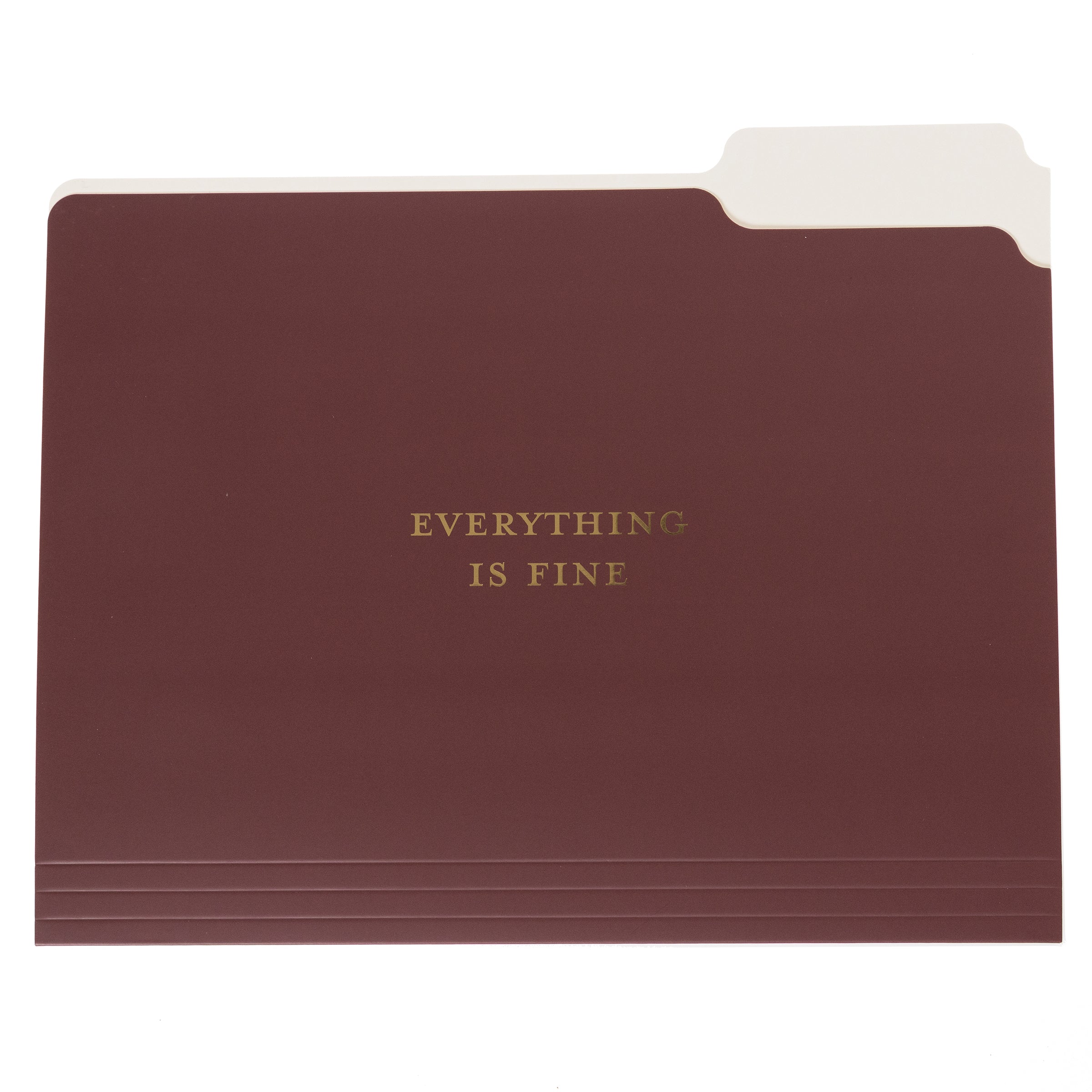 Burgundy File Folder Set - Image 4