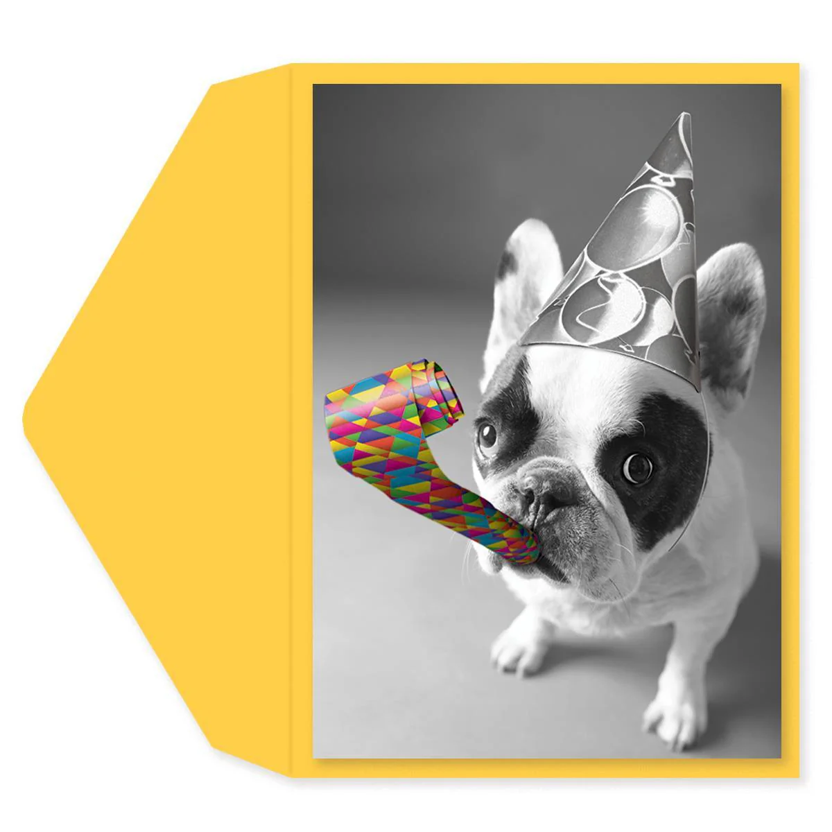 Bulldog Birthday Card