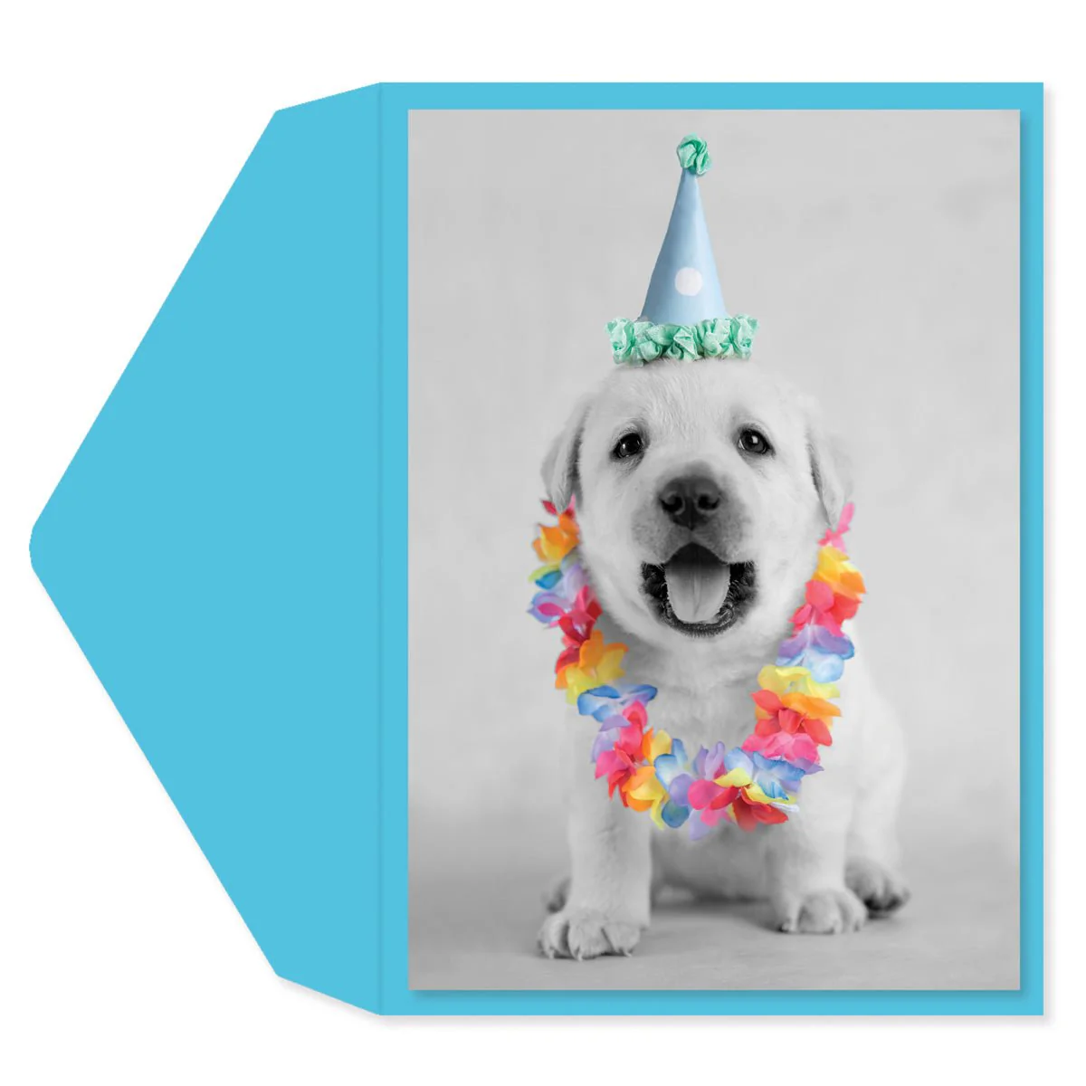 Puppy Party Birthday Card