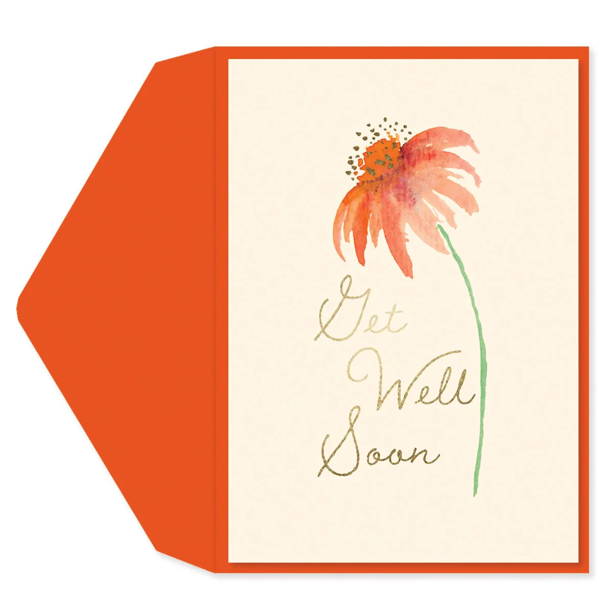 Daisy Get Well Card