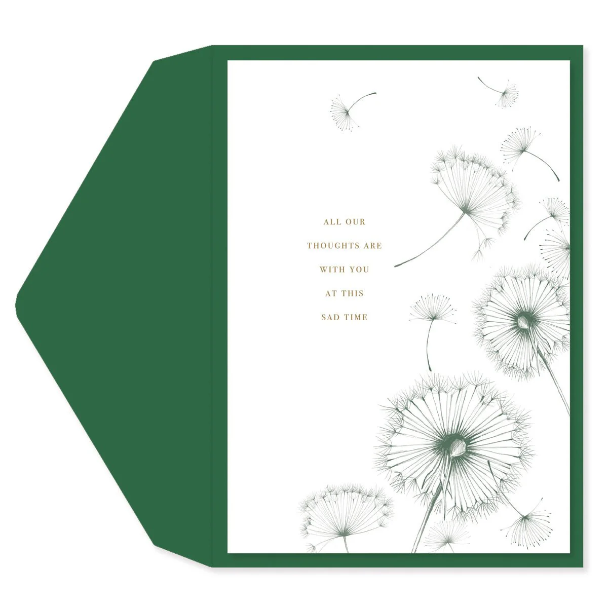 Dandelions Sympathy Card