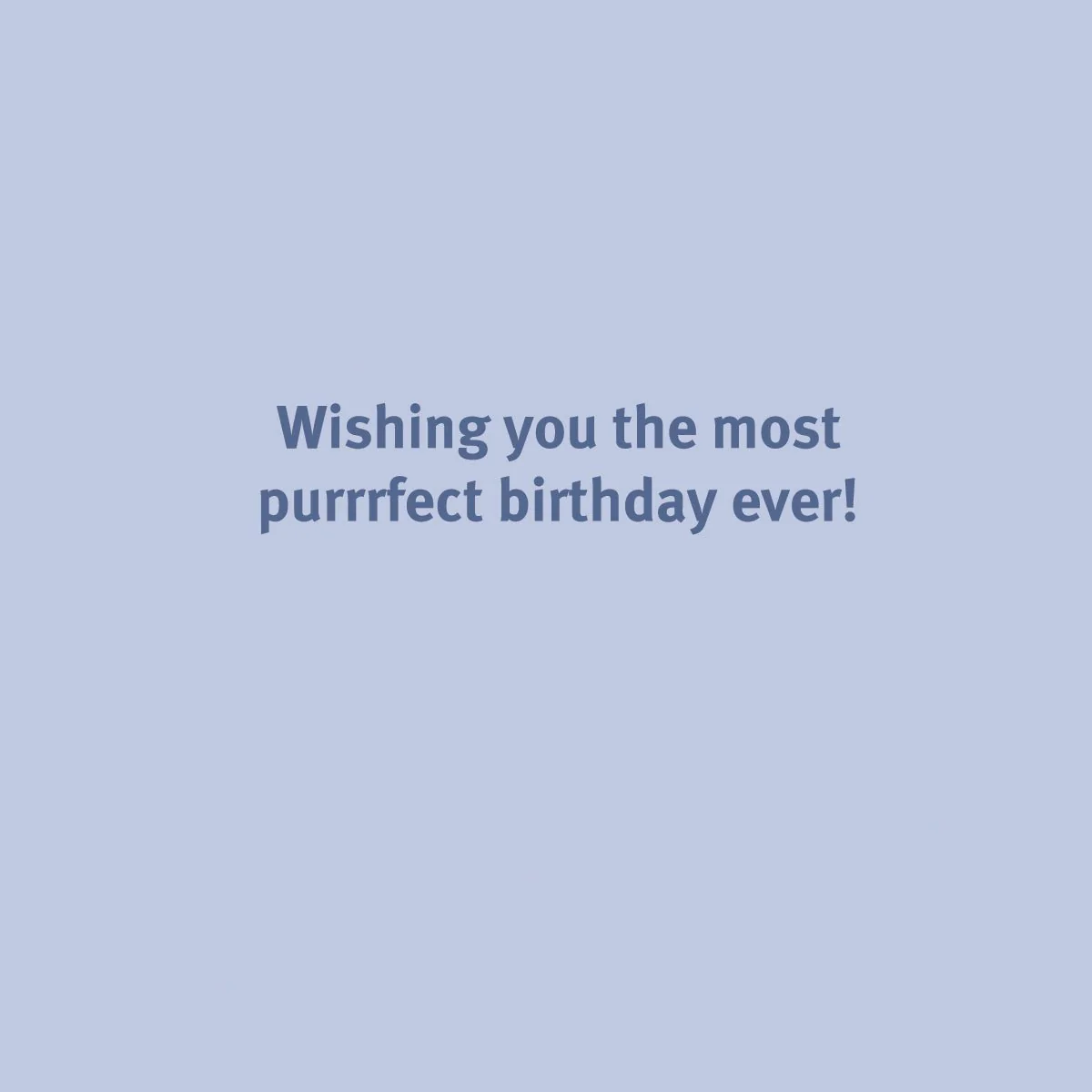 Party Cats Greeting Card - Image 2