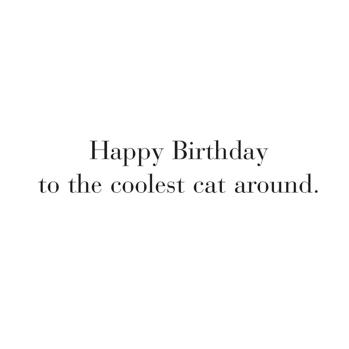 Kool Kat Birthday Card - Image 2