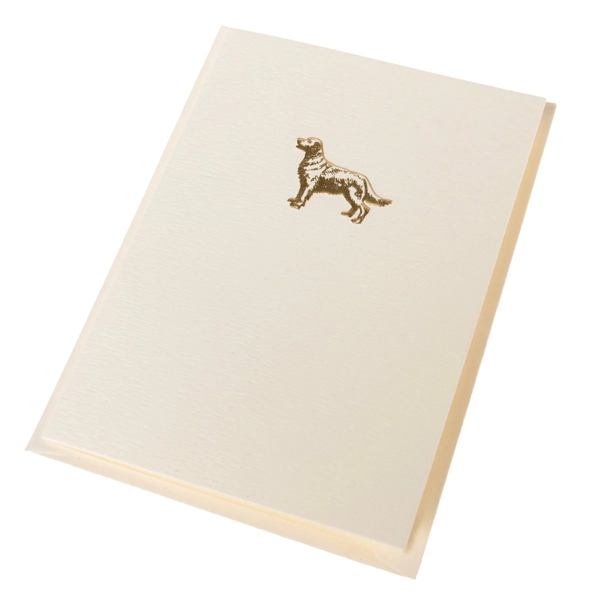 La Petite Presse Golden Retriever Boxed Notes - Image 3