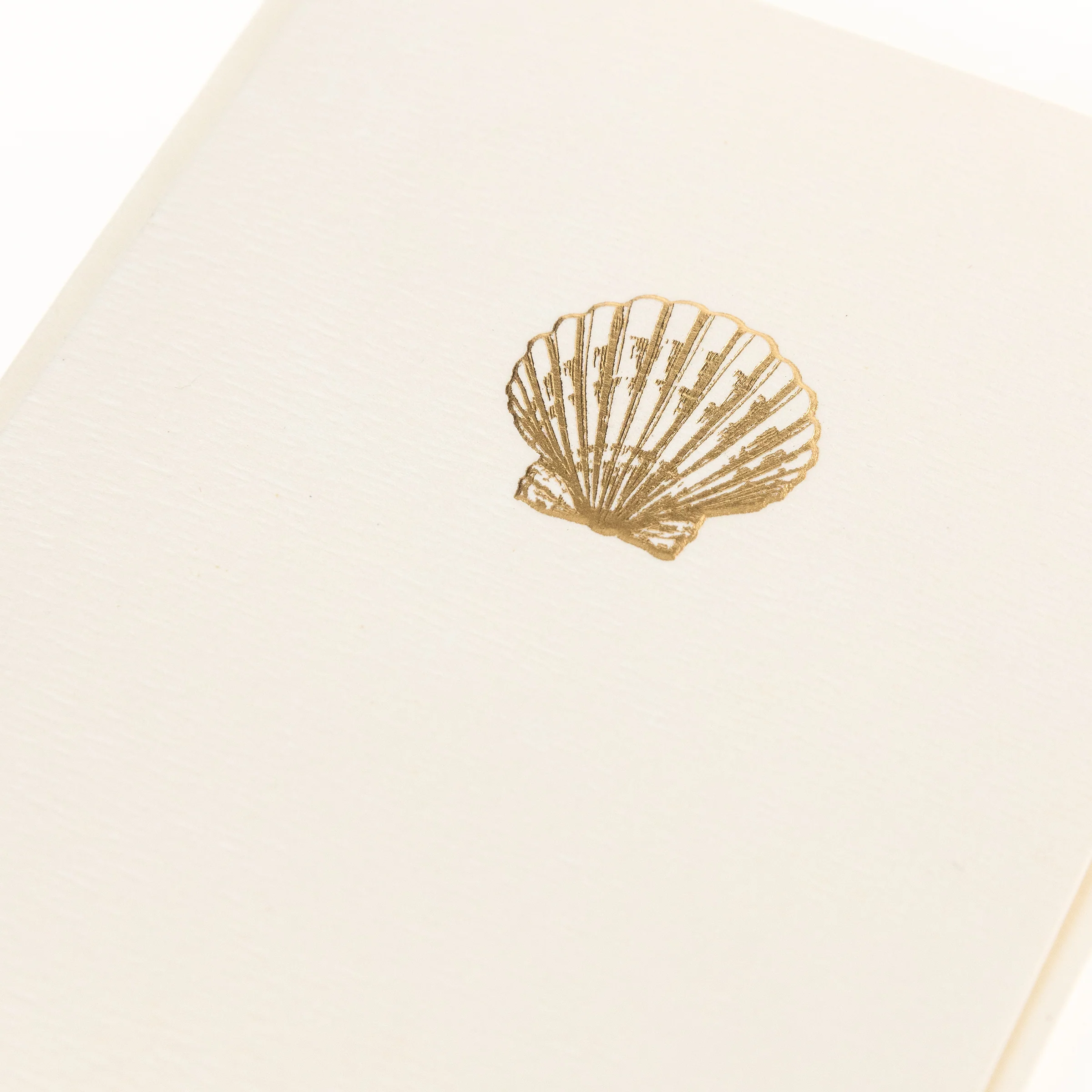 La Petite Presse Shell Boxed Notes - Image 4