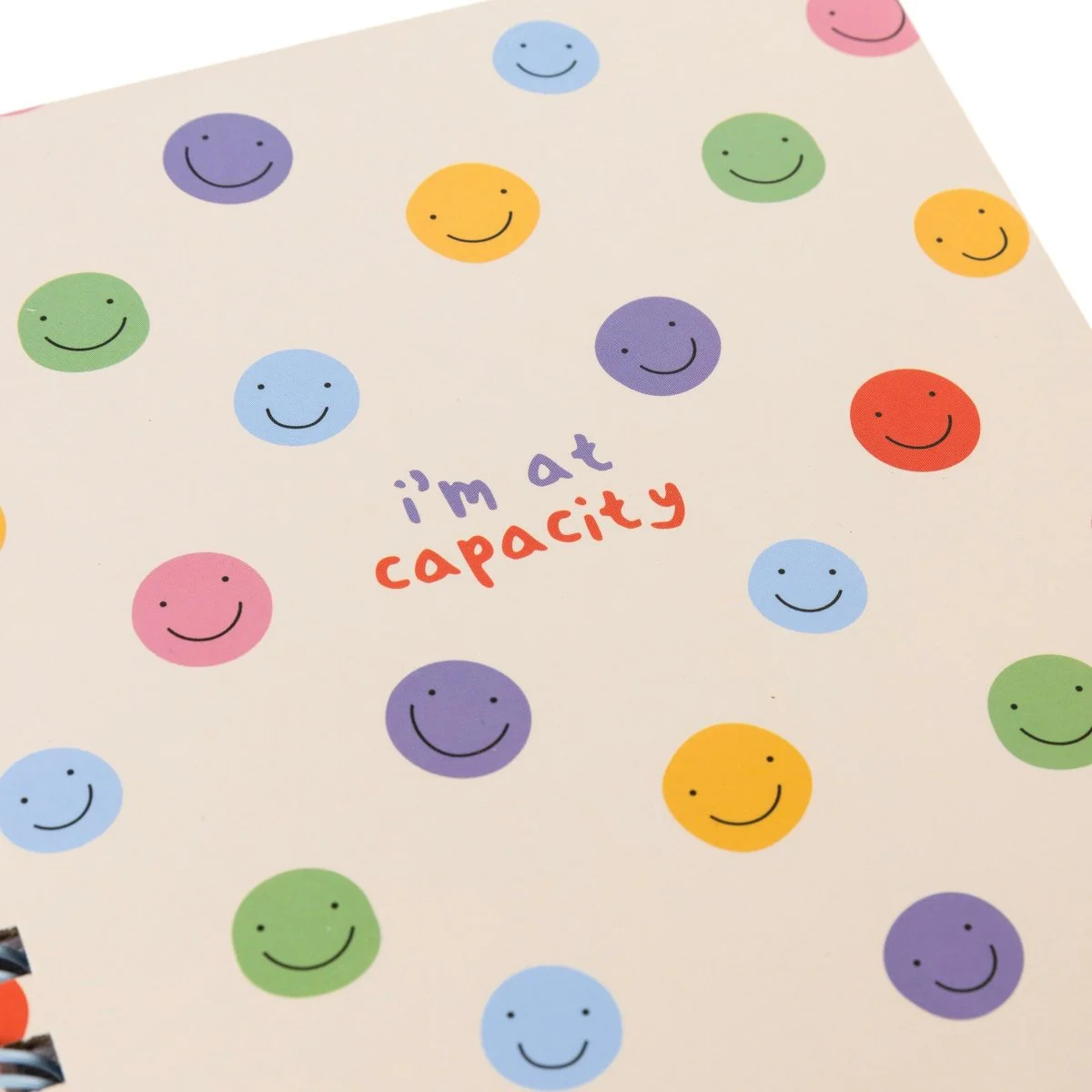 At Capacity Everyday Journal - Image 3
