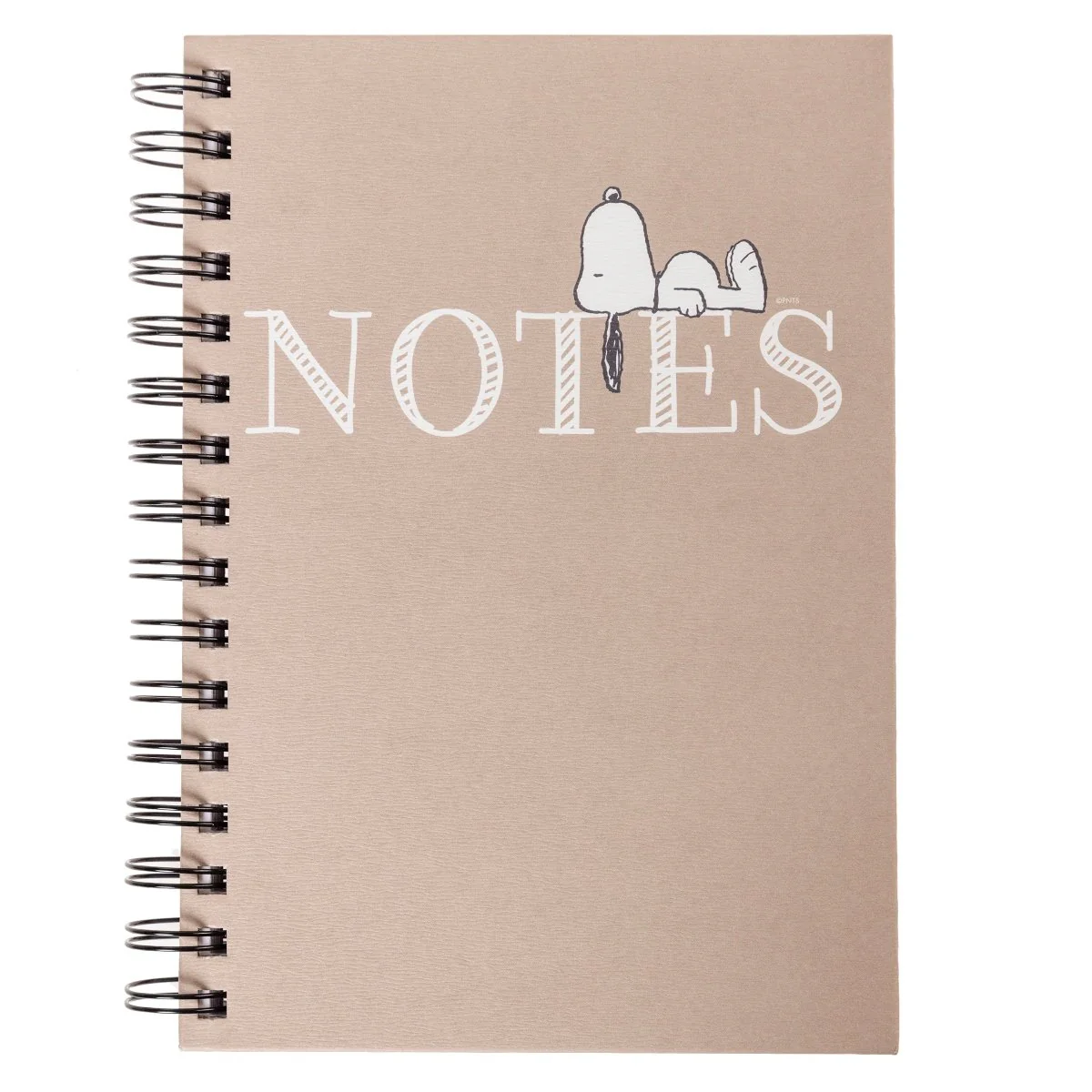 Peanuts® Laying Everyday Journal
