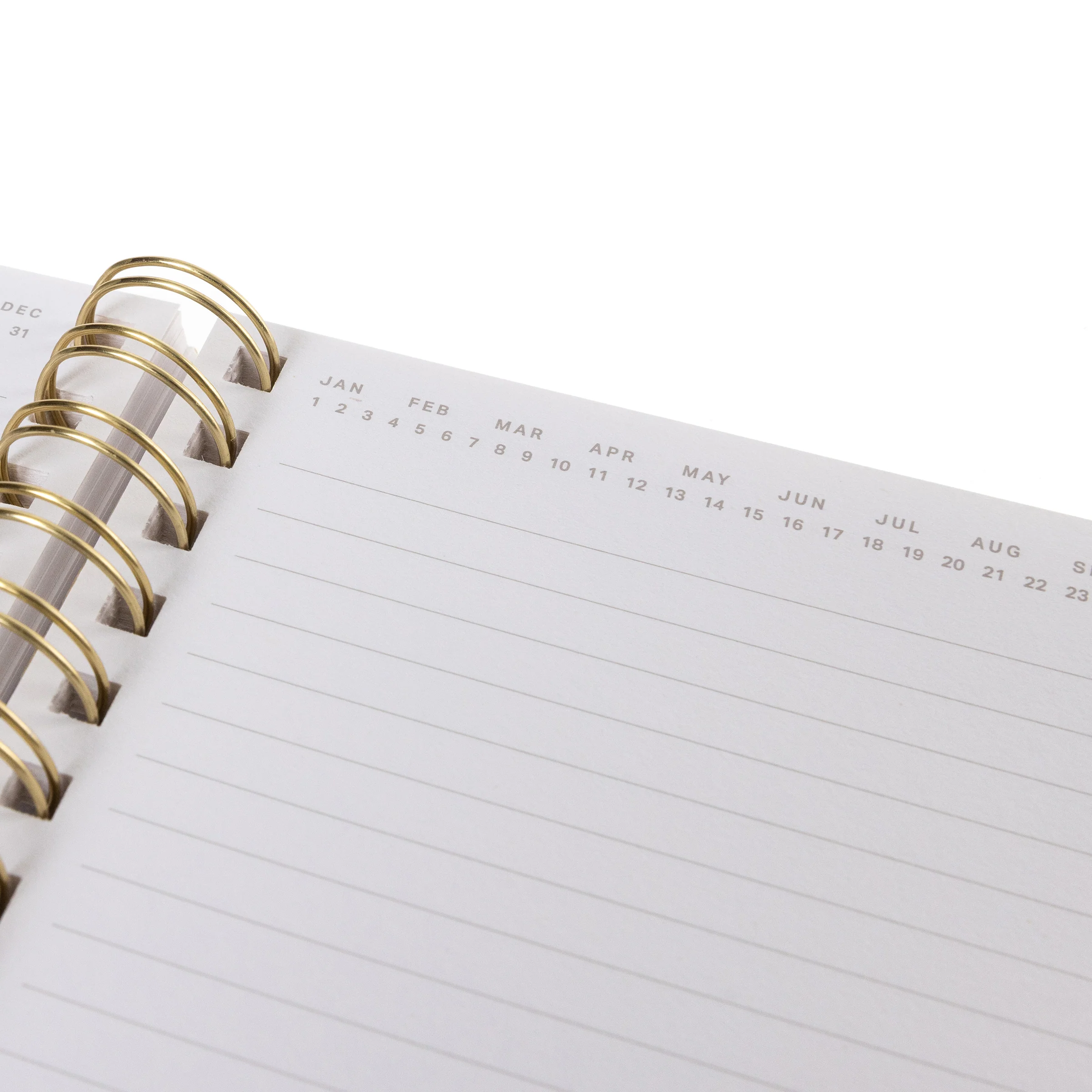 Little Life Everyday Journal - Image 3
