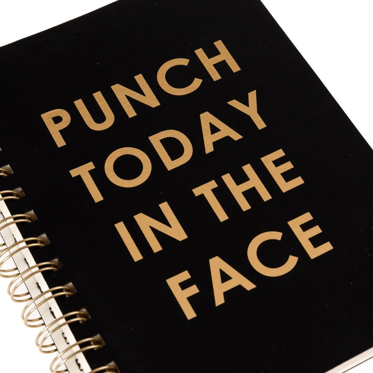 Punch today Vegan Leather Journal - Image 3