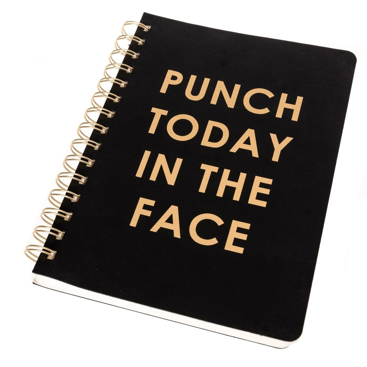 Punch today Vegan Leather Journal - Image 4
