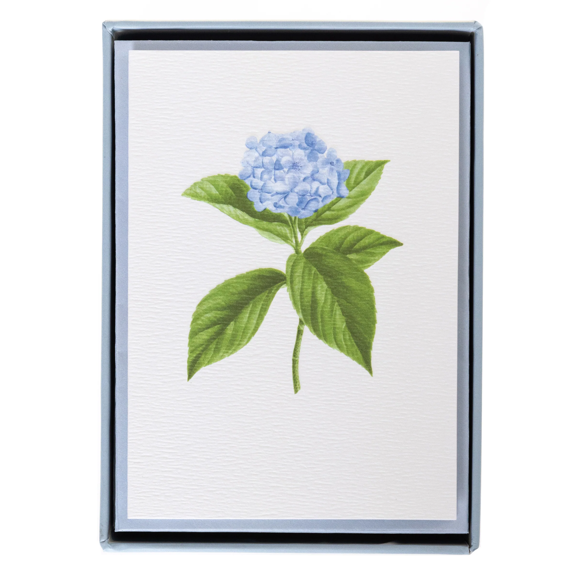 Hydrangea Boxed Notes