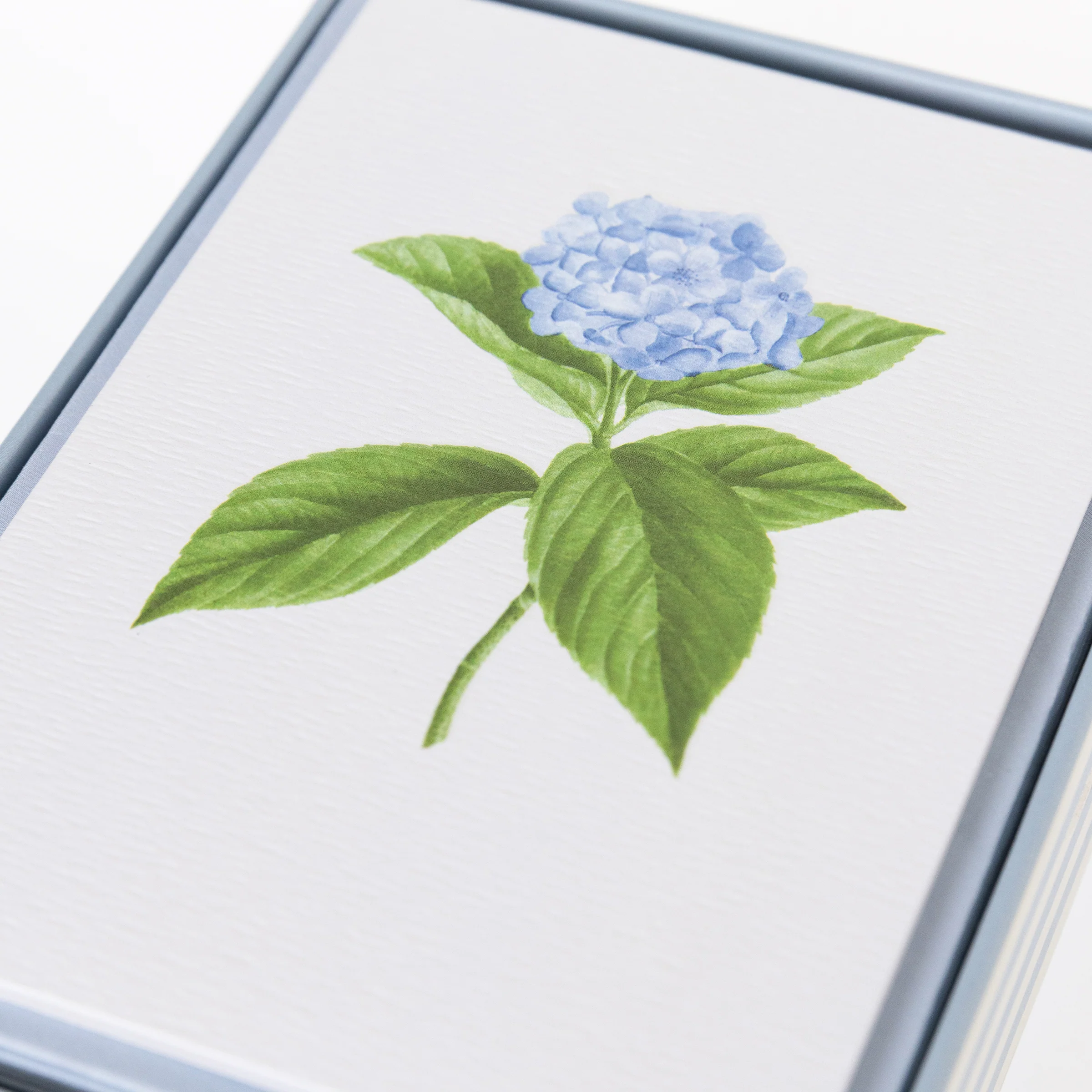 Hydrangea Boxed Notes - Image 3