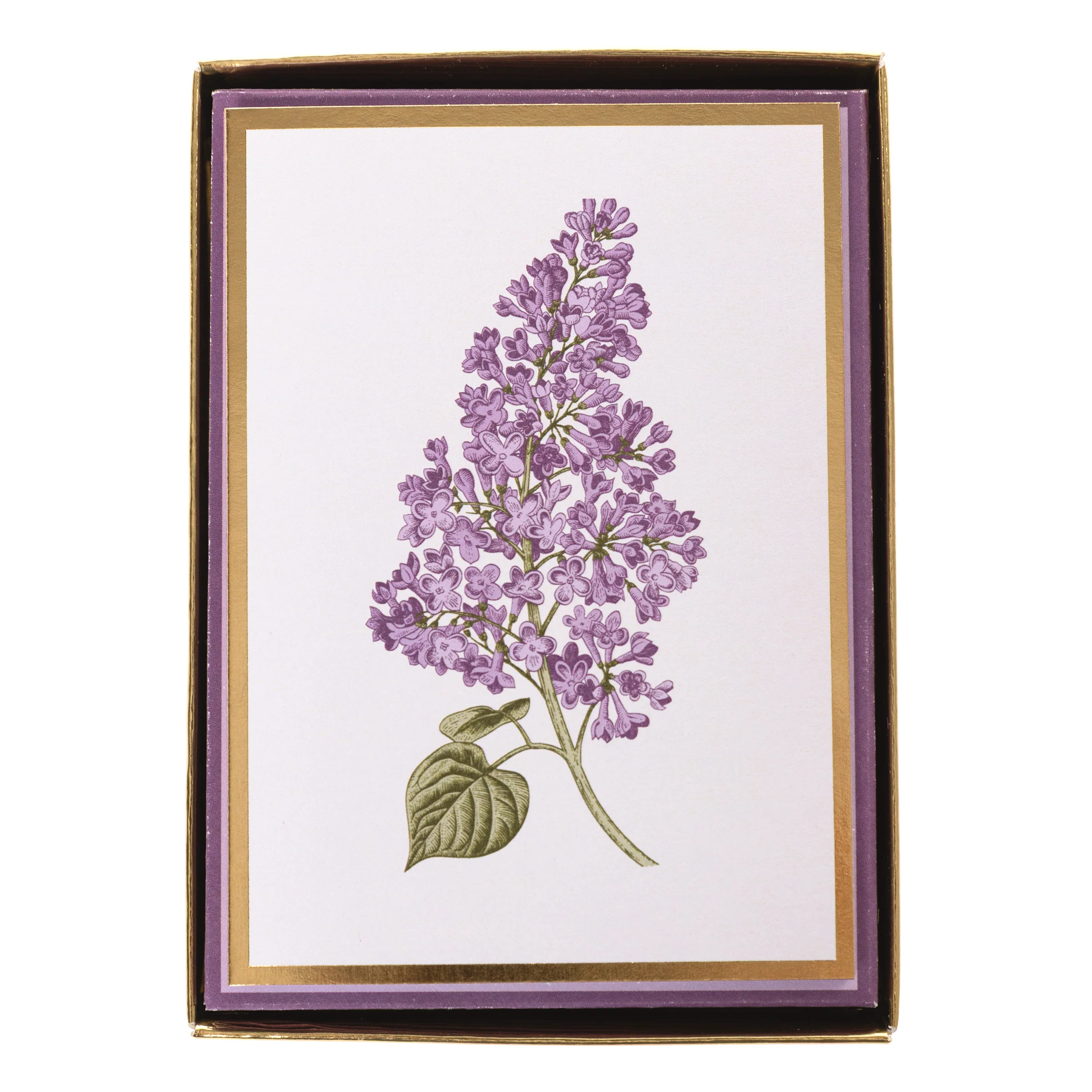 Lilacs Boxed Notes